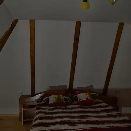 Casutele Bunicii Сasa de vacaciones Ocna Şugatag