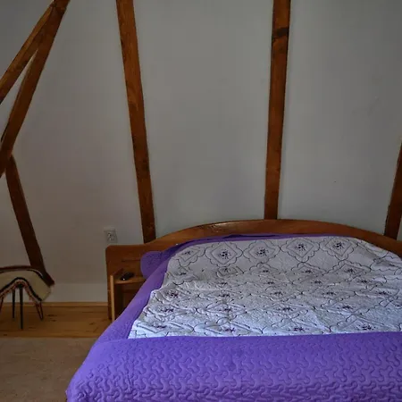 Casutele Bunicii Holiday home Ocna Sugatag